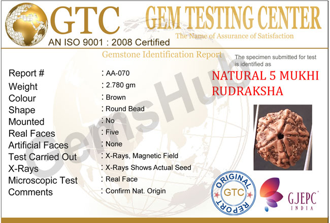 5 Mukhi Certified Nepali Rudraksha